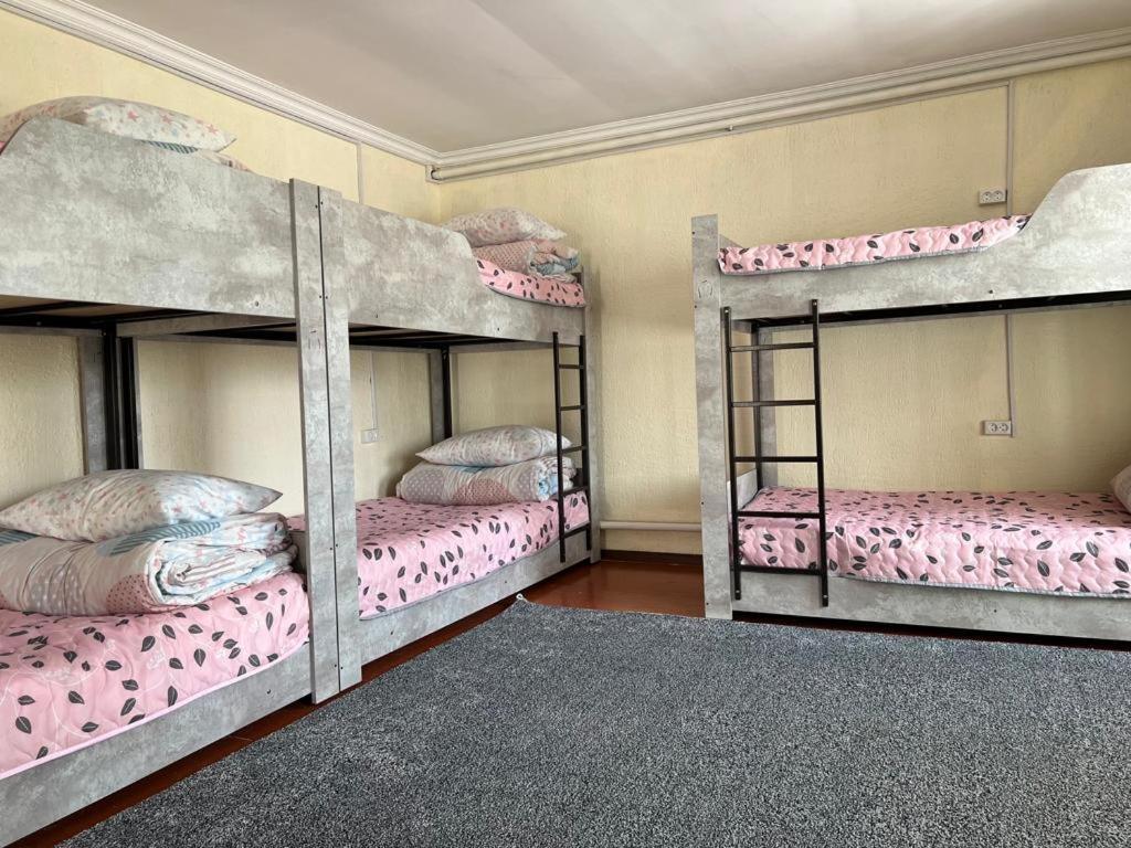The Nest Hostel Karakol Bagian luar foto